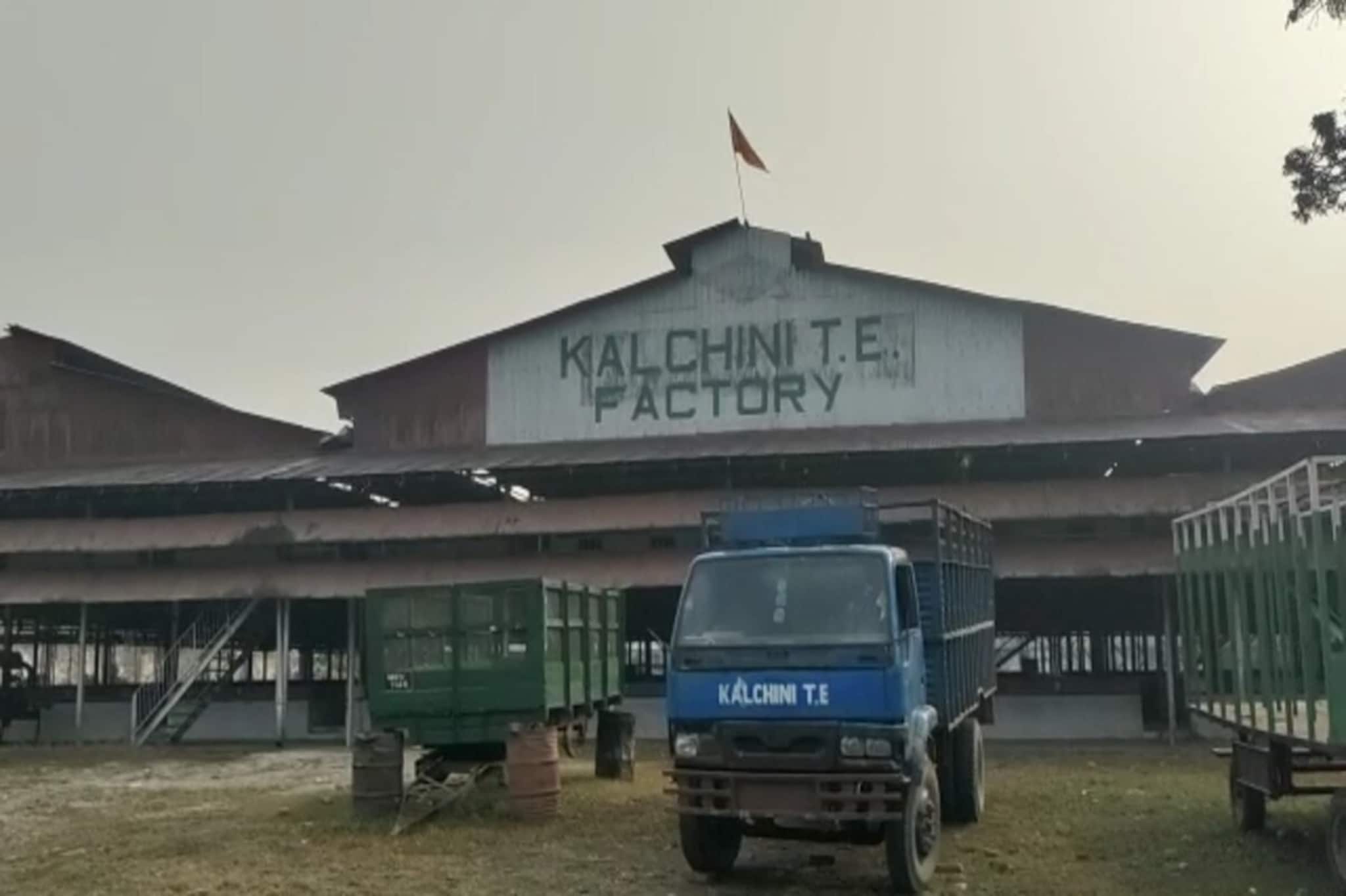 বেতন না পেয়ে কালচিনি চা বাগানে ফের আন্দোলন