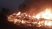 আগুনে ভষ্মীভূত দুটি পোল্ট্রি ফার্ম, মারা গেল প্রায় ২৫০০ টি মুরগী!
