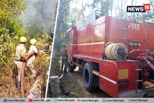 এ কী হল! তাজপুরের জঙ্গলে হঠাৎই লাগল আগুন, তারপর...