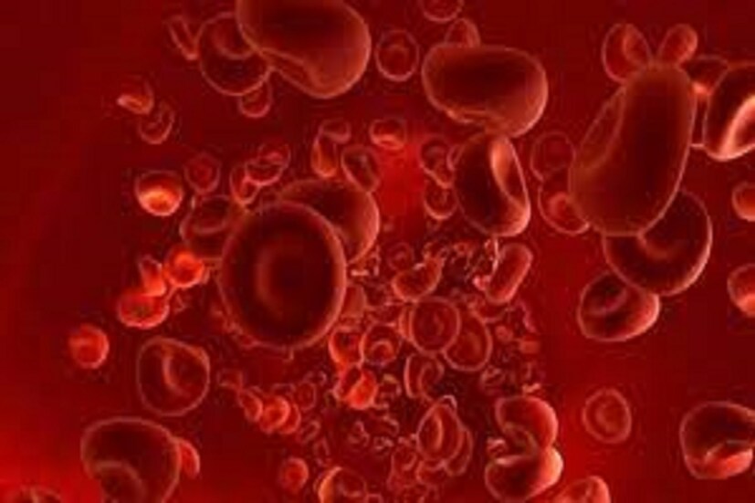 প্রতিদিন ব্যস্ততার সঙ্গে সঙ্গে তৈলাক্ত খাবার দাবারের অভ্যাস রক্তে খারাপ কোলেস্টেরলের জন্ম দেয় অচিরেই ৷ বাড়তে থাকে জীবনে একাধিক সমস্যা ৷ প্রতীকী ছবি ৷