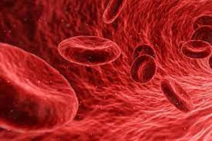 এই ভয়ঙ্কর রোগেরও ইঙ্গিত দেয় ৷ শরীরে খারাপ কোলেস্টেরলের মাত্রা যখন বাড়তে থাকে বা স্তর ছাড়িয়ে যায় তখনই পায়ে সমস্যা দেখা দেয় ৷ প্রতীকী ছবি ৷