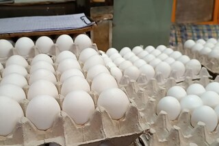 ডিমের দাম বাড়ছে