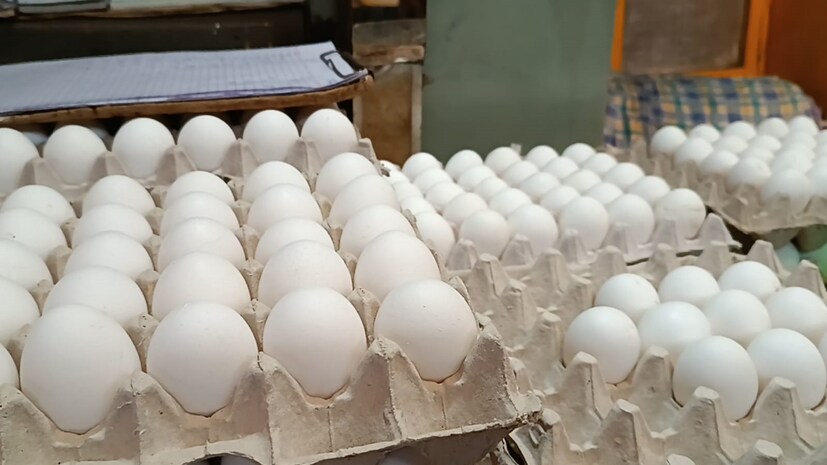 Egg Interesting Facts:  নষ্ট ডিম চিনবেন কিভাবে? জল ভর্তি পাত্রে ডিম প্রথমে ডুবিয়ে রাখুন। ডিমটি যদি সোজা জলের নিচে পড়ে যায় তাহলে এর মানে ডিমটি তাজা। অন্যদিকে, ডিম পুরনো হলে তা পাত্রের নীচে ডুবে গিয়ে আবার ভেসে ওঠে। ডিম জলে ভাসতে শুরু করলে বুঝবেন ডিম খারাপ হয়ে গিয়েছে।