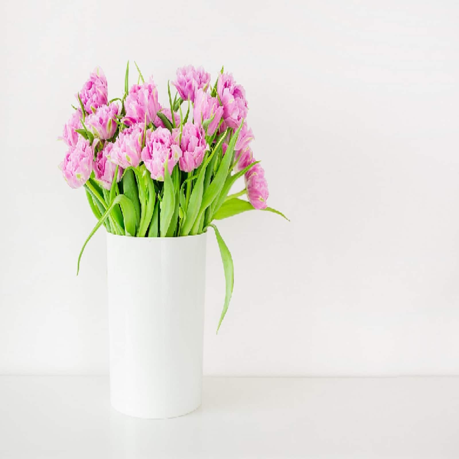 দাম্পত্য জীবনে সুখের অভাব? বাড়িতে রাখুন এই ফুলের গাছ, ফল পাবেন