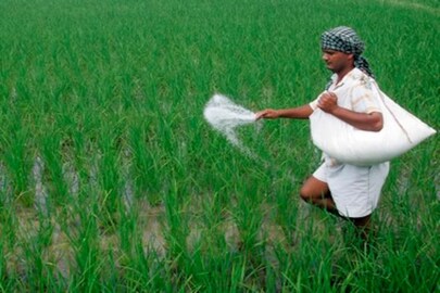 চাষাবাদ শুরুর কথা ভাবছেন? (প্রতীকী ছবি)