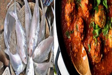 ইলিশ