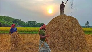 প্রতীকী ছবি।। প্রতীকী ছবি।।