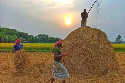 প্রতীকী ছবি।। 
