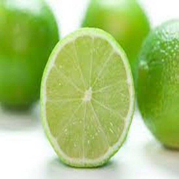 তাই লেবুকে তাজা রাখতে সঠিক উপায়ে সংরক্ষণ করা খুবই গুরুত্বপূর্ণ। যেহেতু এগুলো অ্যাসিডিক বা অম্লীয় প্রকৃতির, তাই লেবুকে স্বাভাবিক বেশি দিন রেখে দেওয়া যায় না। কারণ লেবু দ্রুত আর্দ্রতা হারায় এবং অবাঞ্ছিত কালো দাগ তৈরি করে। ফলে শুষ্ক এবং গন্ধহীন হয়ে যায়। লেবুকে দীর্ঘ সময়ের জন্য তাজা রাখতে সঠিক উপায়ে সংরক্ষণ করার জন্য এখানে কয়েকটি টিপস রয়েছে।