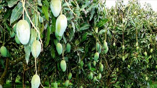 প্রতীকী ছবি। প্রতীকী ছবি।