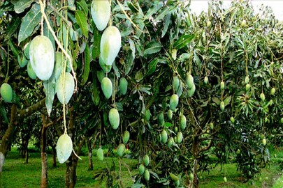 প্রতীকী ছবি। 