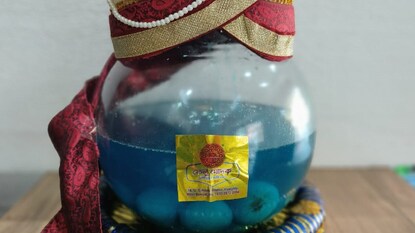 মেসির মন জয়ে নীল-সাদা রসগোল্লা ফেলু মোদকের মেসির মন জয়ে নীল-সাদা রসগোল্লা ফেলু মোদকের