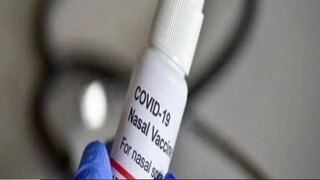 ন্য়াসাল ভ্য়াকসিনের দাম চূড়ান্ত করল কেন্দ্র। প্রতীকী ছবি