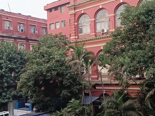 তৈরি হবে শহরের সবুজ রূপরেখা