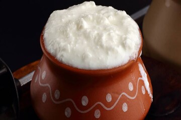 শীতকালে কি টক দই খাওয়া নিরাপদ, জেনে নিন