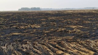 খণ্ডঘোষ ব্লকের ওয়াঁড়ি গ্রামের মাঠে ১৬ বিঘা জমির খাস ধান ভস্মীভূত হয়ে গেল নিমেষের মধ্যে