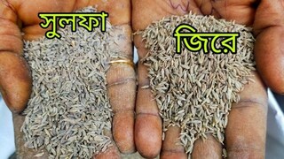 ব্যবসায়ীর বক্তব্য, কেউ যদি পাঁচ কেজি জিরের সঙ্গে দু কেজি সুলফা মিশিয়ে দেয়, তাহলে ধরা খুবই মুশকিল