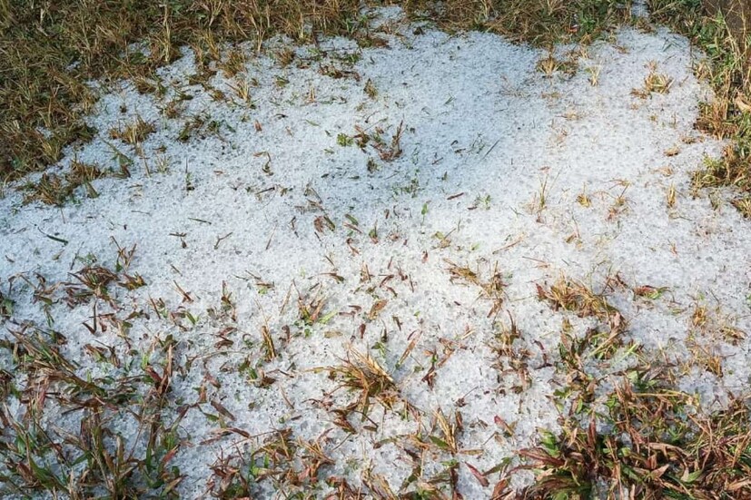 সোমবার রাত ১১টা নাগাদ শিল পড়তে শুরু করে এই দুই এলাকায়। তবে তা কিছুটা সময়ের জন্য। মঙ্গলবার সকালেও লেপচাখা এলাকায় বরফের দেখা মিলেছে। এদিকে এলাকা বরফে ঢেকেছে শুনতেই পর্যটকরা ছুটছেন বক্সায়। 