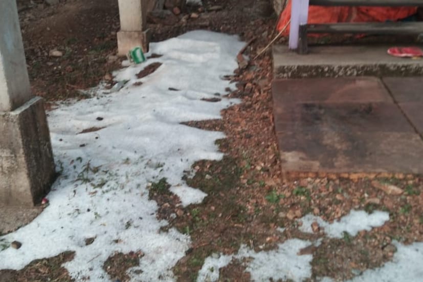 দার্জিলিং ছাড়াও এবার ডুয়ার্সের এই পার্বত্য এলাকার প্রাকৃতিক সৌন্দর্য উপভোগ করতে ভিড় জমাবেন দেশ বিদেশের পর্যটকরা, আশা পর্যটন ব্যবসায়ীদের। বড়দিনের ছুটিতে বক্সা পাহাড়ে উঠতে শুরু করেছে পর্যটকেরা।
