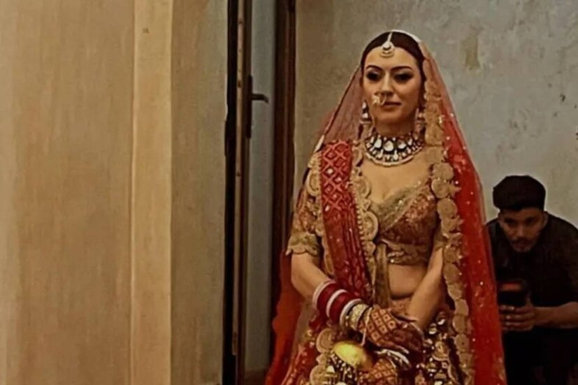 ছোট্ট হংসিকা শিশু অভিনেতা হিসেবে মন জয় করেছিলেন কেরিারের শুরুতেই৷ দূরদর্শনে তুমুল জনপ্রিয় ‘শকা লকা বুম বুম’ ধারাবাহিকে তিনি অভিনয় করেছিলেন করুণা তথা সোনা চরিত্রে৷ এর পর শিশু অভিনেতা হিসেবেই তাঁকে দেখা গিয়েছিল ‘হাওয়া’, ‘কোই মিল গ্যয়া’, ‘অ্যাবরা কা ড্যাবরা’-সহ বেশ কিছু ছবিতে৷ 