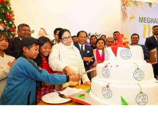 প্রত্যেক বারই  অ্যালেন পার্কে মুখ্যমন্ত্রী মমতা বন্দ্যোপাধ্যায় ক্রিসমাস ফেস্টিভ্যালের উদ্বোধনী অনুষ্ঠানে যোগ দেন  (ফাইল ছবি)