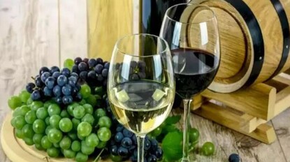 টেবলের উপর অঙুরের সঙ্গে মিশে রয়েছে মার্বেল, ১১ সেকেন্ডে খুঁজতে পারেন শুধু ক্ষুরধার বুদ্ধিমানেরাই টেবলের উপর অঙুরের সঙ্গে মিশে রয়েছে মার্বেল, ১১ সেকেন্ডে খুঁজতে পারেন শুধু ক্ষুরধার বুদ্ধিমানেরাই