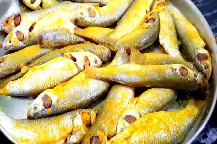 *মাছের উপকারিতা: সর্দি-কাশি গলা পর্যন্ত পৌঁছাতে বাধা দেয়। এগুলি ত্বকের সুরক্ষায়ও গুরুত্বপূর্ণ ভূমিকা পালন করে। শীতে ত্বক শুষ্ক হয়ে যায়। ওমেগা অ্যাসিড সেই সমস্যা প্রতিরোধ করে। (Disclaimer: এই প্রতিবেদনটি কেবলমাত্র সাধারণ তথ্যের জন্য, তাই বিস্তারিত জানতে হলে সর্বদা বিশেষজ্ঞের পরামর্শ নিন।) প্রতীকী ছবি।