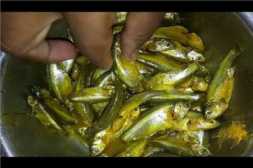 *কিন্তু ভারতীয় রান্নার কেতাই আলাদা। এখন দেখে নেওয়া যাক মাছ কিংবা মাংস ধোয়ার পর কেন নুন আর হলুদ দিয়ে ম্যারিনেট করা হয়। প্রতীকী ছবি। 