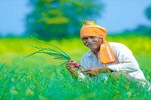 এবার স্বনির্ভর হবেন কৃষকরা! কৃষকদের জন্য রয়েছে কেন্দ্রের সেরা ৬ প্রকল্প