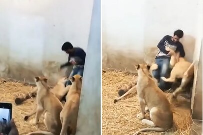 
ভাইরাল ভিডিও থেকে প্রাপ্ত ছবি। সৌজন্যে- ইনস্টাগ্রাম/sumit_vishkarma2