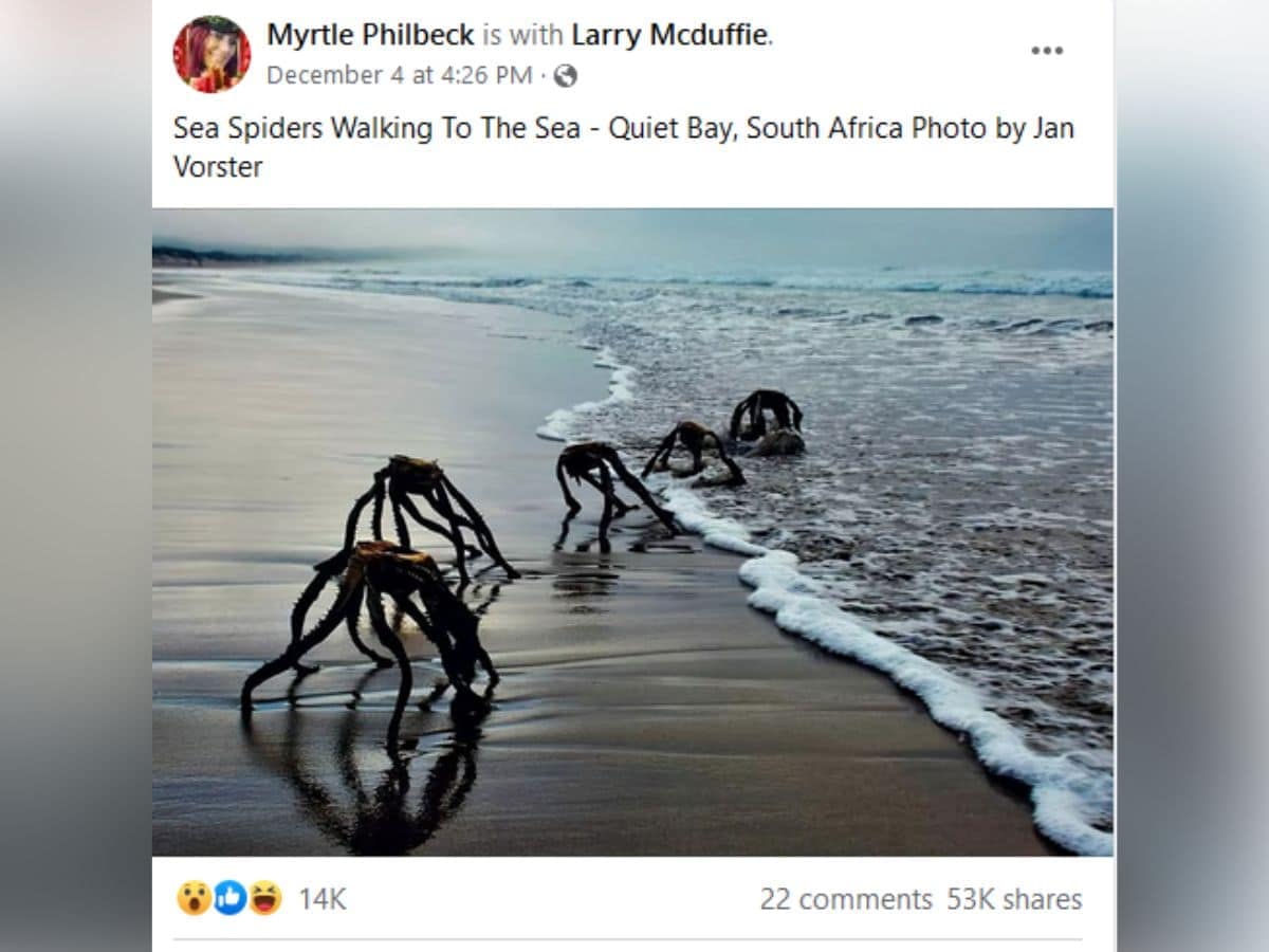 (ছবি সৌজন্যে: Facebook/Myrtle Philbeck)