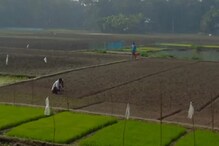 রাতভর মাঠে-মাঠে ঘুরছেন বিডিও, চন্দ্রকোনায় হঠাৎ হল টা কী? চাঞ্চল্য এলাকায় রাতভর মাঠে-মাঠে ঘুরছেন বিডিও, চন্দ্রকোনায় হঠাৎ হল টা কী? চাঞ্চল্য এলাকায়