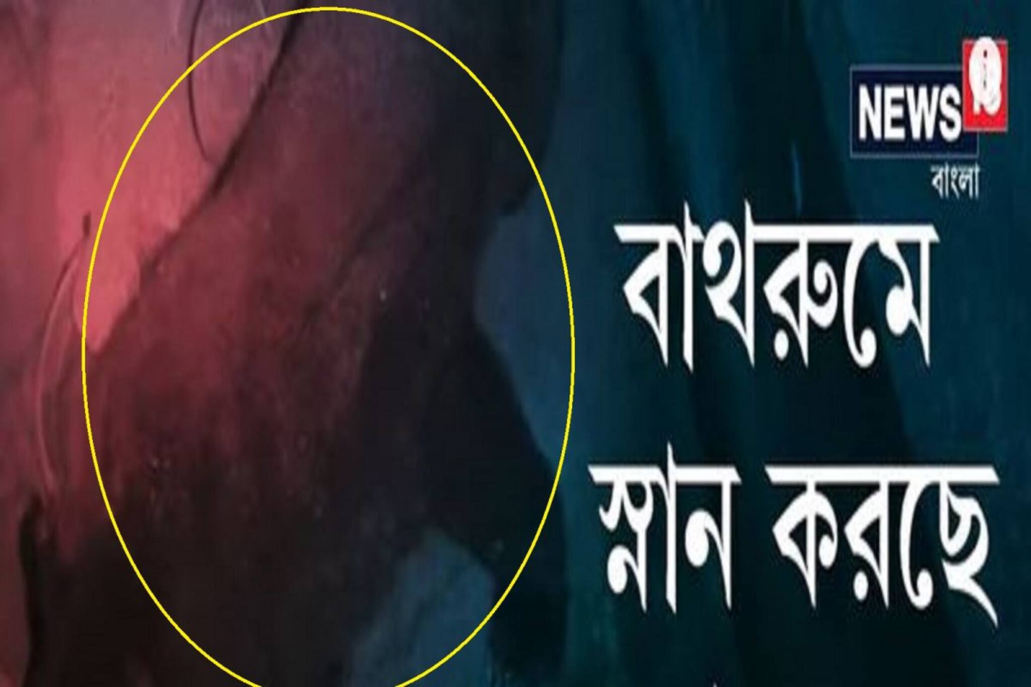 রাত ২টোর সময় বাথরুমে ওটা কে? চমকে গেলেন গৃহকর্তা