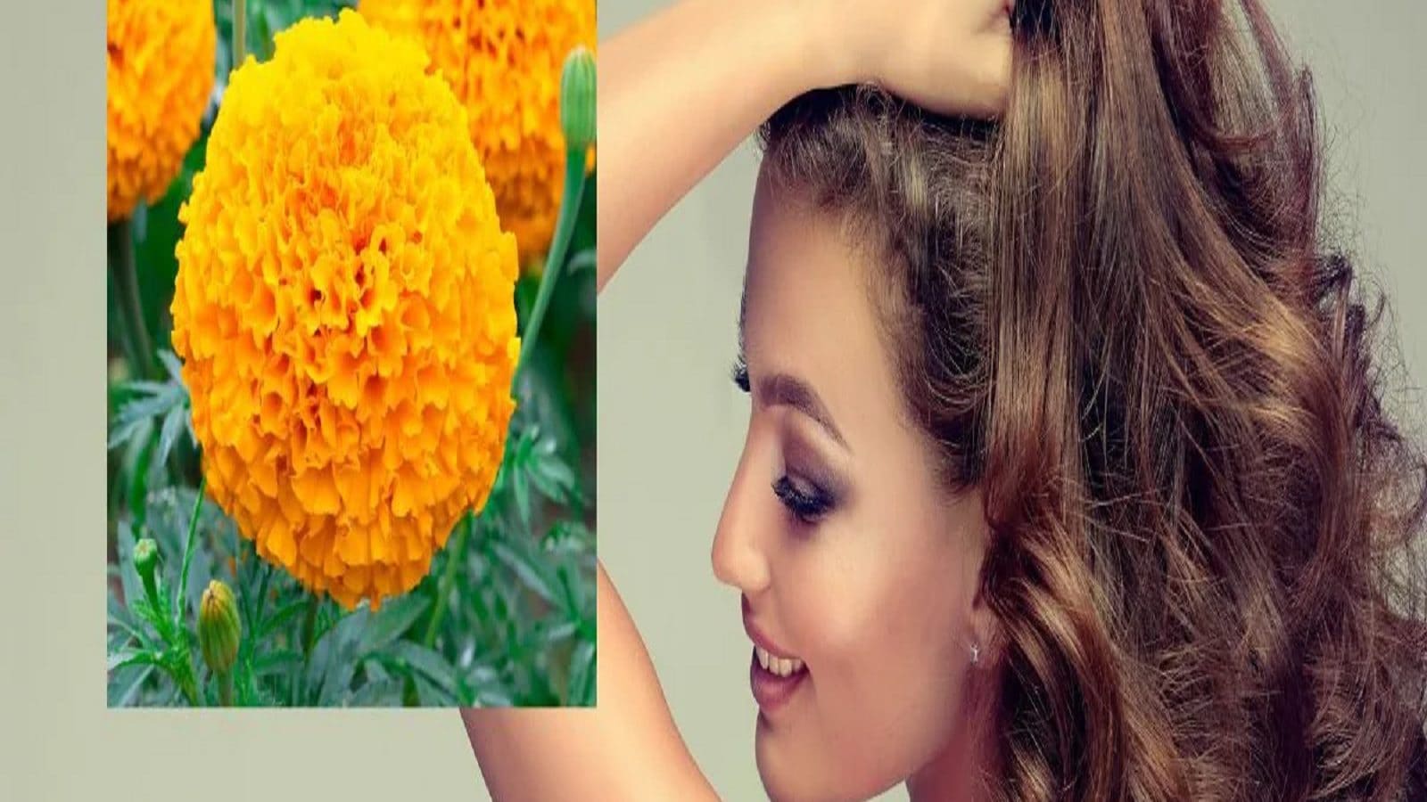 some-benefits-of-marigold-flower-for-hair-fall