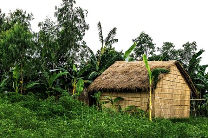 প্রতীকী ছবি