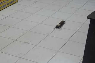 পঞ্জাবের থানায় এ কী দৃশ্য!