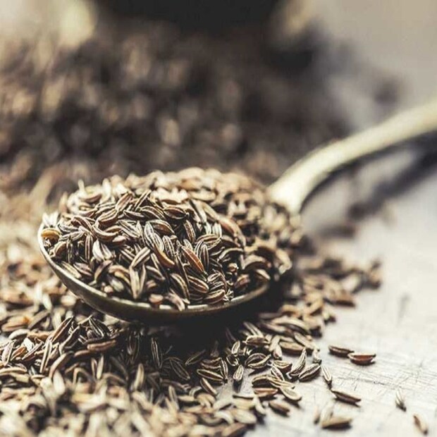 সকালে খালি পেটে জিরের জল খেলে মেদ কমতে পারে। জিরেতে আছে ভিটামিন-সি, ভিটামিন-কে, ভিটামিন-বি ১, ২, ৩, ভিটামিন-ই, প্রোটিন, ক্যালসিয়াম, ম্যাগনেসিয়াম, পটাসিয়াম, জিঙ্ক, কপার, আয়রন এবং কার্বোহাইড্রেট। জিরাকে ফ্যাট বার্নার বলা হয়। এটি সেবন করলে পরিপাকতন্ত্রের উন্নতি হয় এবং মেদ কমে।