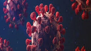 প্রতীকী ছবি ৷