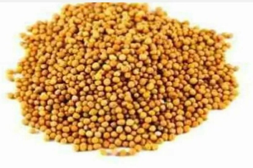 ১ জানুয়ারি ২০২৩ এই রবিবার অর্থাৎ আগামিকাল তারপরের রবিবারেই নতুন বছর শুরু হবে ৷ প্রতীকী ছবি ৷