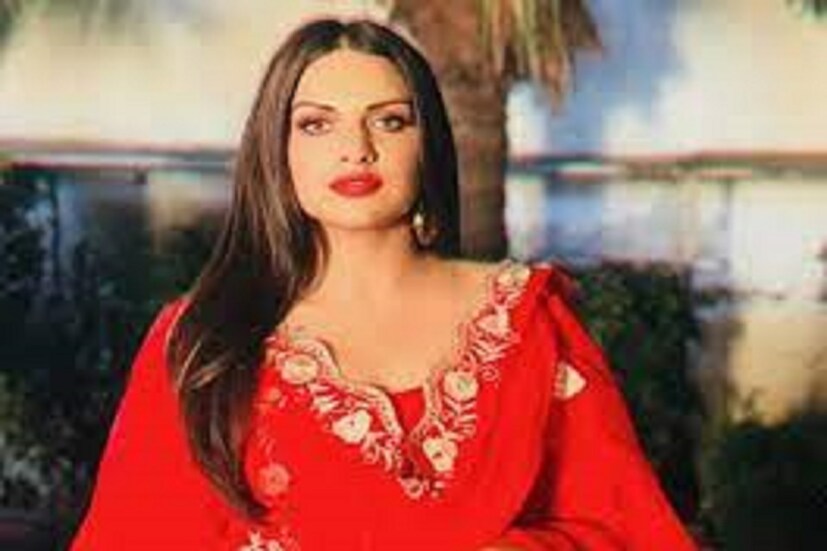 হিমাংশিকে কেরিয়ারের বেশ কিছু হিট ছবিতে অভিনয় করতে ও গান গাইতে দেখতে পাওয়া গিয়েছে ৷ ফাইল ছবি ৷