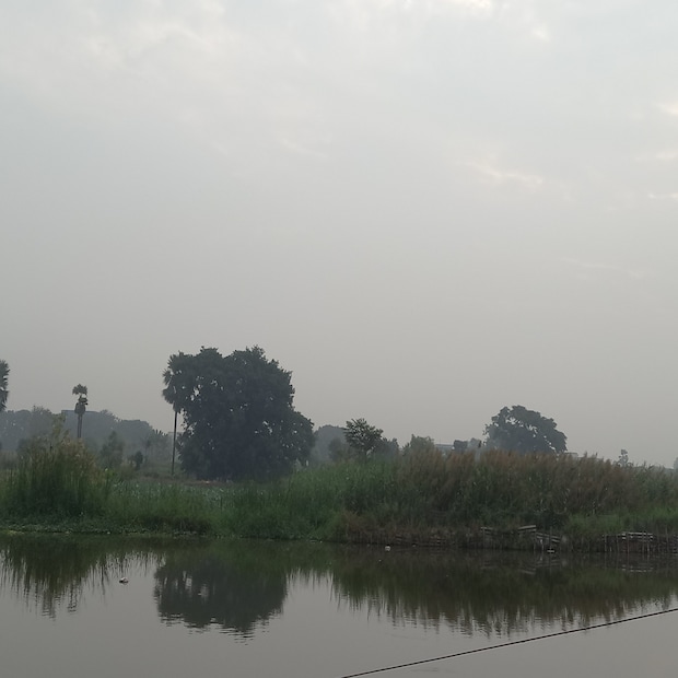 বঙ্গোপসাগরে নিম্নচাপ দক্ষিণ-পূর্ব বঙ্গোপসাগরেই রয়েছে। এটি গভীর নিম্নচাপে পরিণত দক্ষিণ-পূর্ব বঙ্গোপসাগর এবং সংলগ্ন দক্ষিণ-পশ্চিম বঙ্গোপসাগর এলাকায়। দক্ষিণ-পশ্চিম বঙ্গোপসাগরে এটি গভীর নিম্নচাপের রূপ নিয়ে শ্রীলঙ্কা উপকূলের দিকে এগিয়ে যাবে পয়লা ফেব্রুয়ারি নাগাদ। গভীর নিম্নচাপ রূপে এটি ক্রমশ পশ্চিমবা উত্তর-পশ্চিম দিকে এগোবে আগামীকাল থেকে এর গতিপথ পরিবর্তন হয়ে দক্ষিণ ও দক্ষিণ-পশ্চিম দিকে এগোবে।