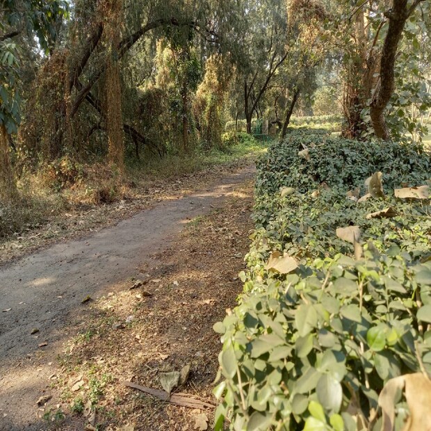 শিক্ষামূলক ভ্রমণের জন্য যে ছাত্রছাত্রীরা স্কুল থেকে এসেছিল তারা রীতিমতো বিস্মিত। 