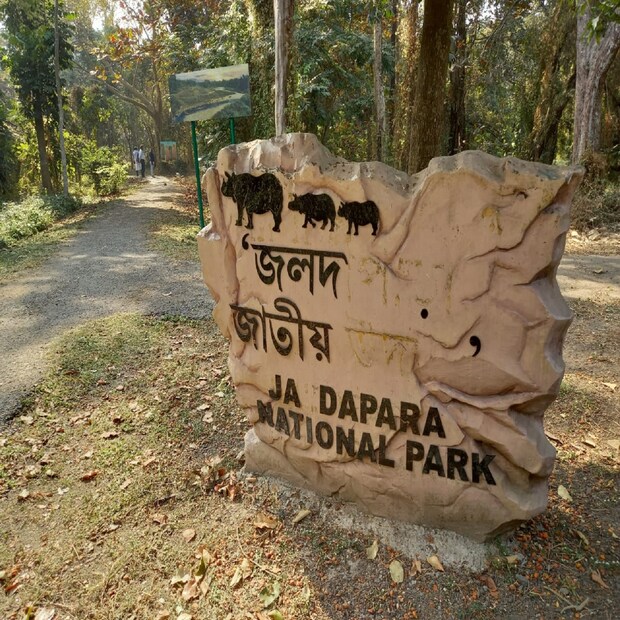 বনমন্ত্রী জ্যোতিপ্রিয় মল্লিক বলেন, 'এখানেই শেষ নয়, জলদাপাড়া অভয়ারণ্যের রেপ্লিকা ছাড়াও বনবিতানেই তৈরি হচ্ছে প্রজাপতি পার্ক , বার্ডস পার্ক এবং স্নেক পার্ক অর্থাৎ এক টুকরো অভয়ারণ্যের রেপ্লিকা তৈরি হবে সল্টলেকের বনবিতানে।' (ছবি ও তথ্য বিশ্বজিৎ সাহা)
