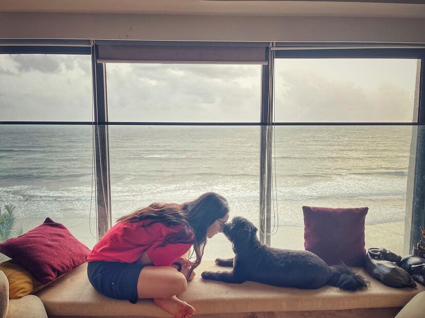তাই এই সকল গাছ বাড়িতে পোষ্য থাকলে না রাখাই সবথেকে ভাল উপায়। আর থাকলে খুব যন্ত সহকারে ও সাবধানতার সঙ্গে রাখতে হবে কুকুর অথবা বিড়ালকে। কোনওভাবে যেন এই গাছের পাতা খেয়ে না ফেলে তারা। আর এর পরও কোনও কৌতুহল থাকলে পৌষ্যের চিকিৎসকের পরামর্শ নিন।