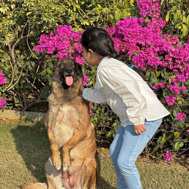 সাত বছর বয়স হয়ে গেল জিভা ধোনির। এম এস ধোনির মেয়ের এখনই ইনস্টাগ্রামে ফলোয়ার কয়েক লাখ।