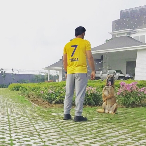 জিভার ইনস্টা অ্যাকাউন্ট থেকে ছবি ও ভিডিও পোস্ট করা হয়েছে। সেই ভিডিওতে তাঁর সঙ্গে দেখা যাচ্ছে পোষ্যটিকে।