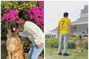 কত বড় হয়ে গেল ধোনির মেয়ে জিভা! বাবার পথেই হাঁটছে মেয়ে, দেখুন ছবি