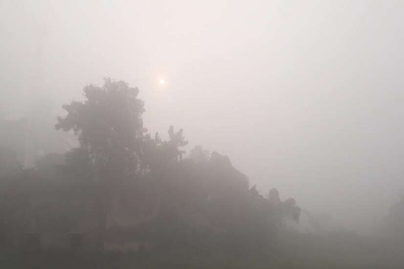 মুর্শিদাবাদে সর্বনিম্ন তাপমাত্রা ১৫ ডিগ্রির কিছুটা বেশি থাকবে এবং সর্বোচ্চ তাপমাত্রা ২৫ ডিগ্রির কাছাকাছি থাকবে। মঙ্গলবার শীতের আমেজ ভালই অনুভূত হবে মুর্শিদাবাদে। এ দিন মুর্শিদাবাদ জেলায় বৃষ্টির সম্ভাবনা নেই। সকালের দিকে শীত শীত ভাব বজায় থাকবে। রাতের দিকে ফের কমবে তাপমাত্রা। Input- Kaushik Adhikary