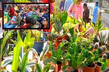 গাছেদের