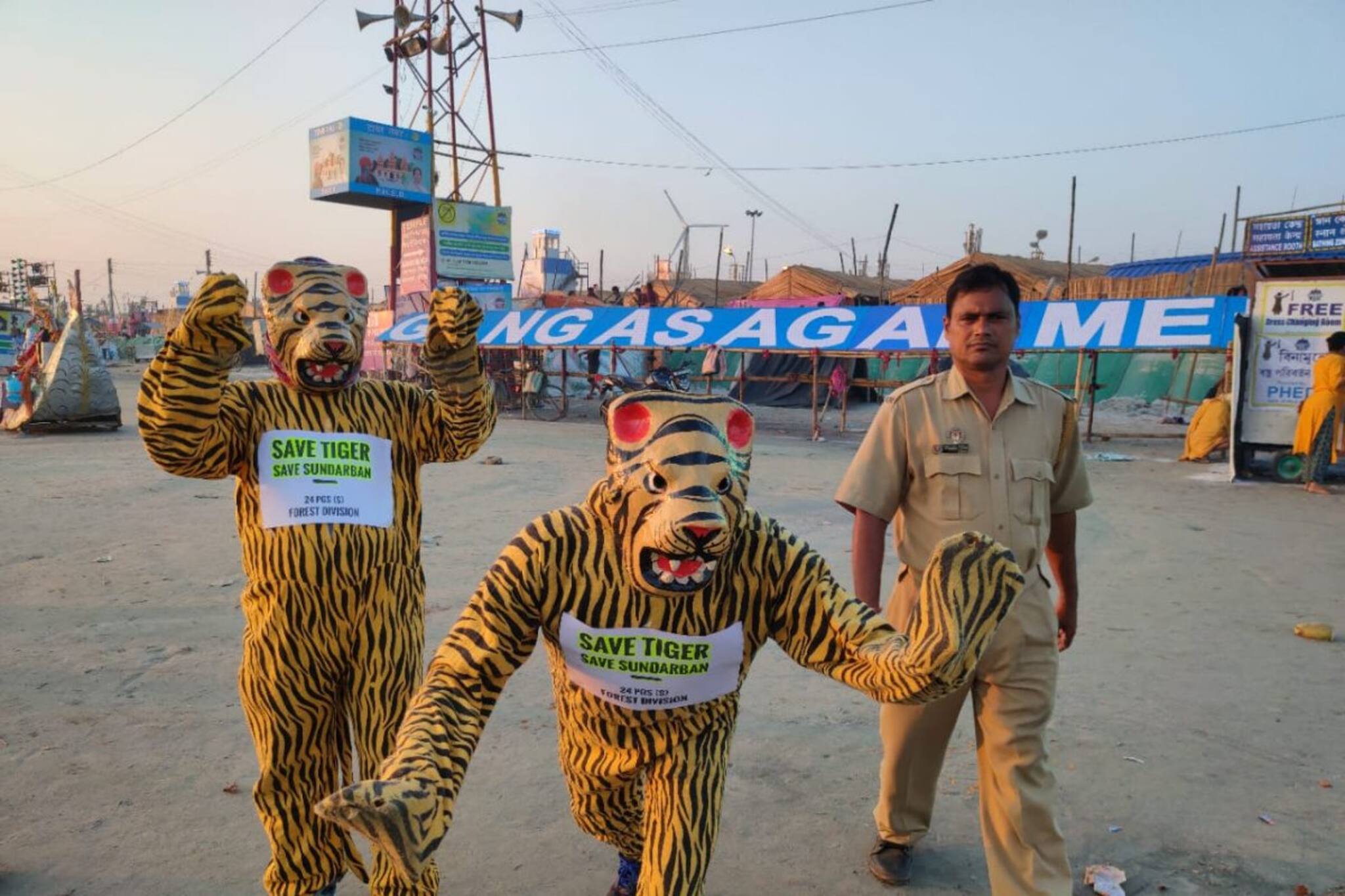 গঙ্গাসাগরে হাজির দুই মস্ত বড় বাঘমামা!